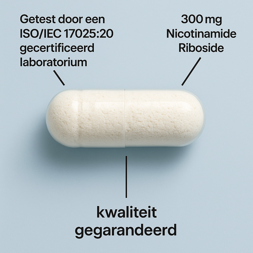 Nicotinamide Riboside (NR)